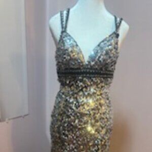 Size 6, Silver Sequin Gown